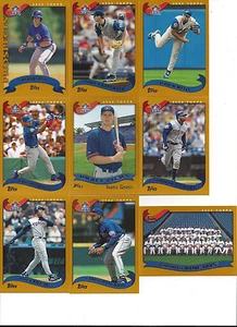 2002 Topps Toronto Blue Jays Team Set Vernon Wells Carlos Delgado Raúl Mondesi - Imagen 1 de 1