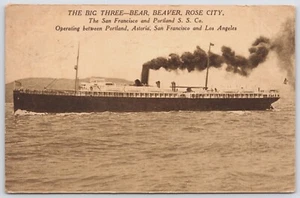 Postcard Big Three Bear Beaver Rose City Ship San Francisco Portland SS Co. - Picture 1 of 2