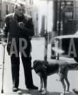Foto Vintage Animali Domestici Pippo il cane di Rione a Nervi stampa 18x24 cm