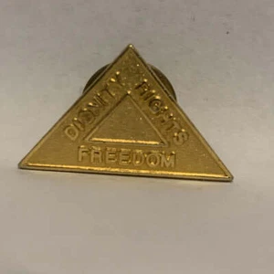 Dignity Rights Freedom Triangle Logo Lapel Hat Pin - Bild 1 von 3