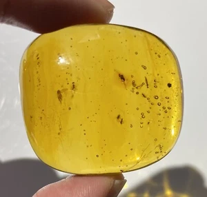 20 grammi Ambra con insetti multipli - fossile Repubblica Dominicana - originale - Foto 1 di 7
