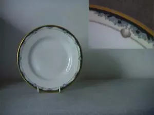 12 x Royal Doulton - Rhodes - Tea / Side Plate (6 1/2") - HALF PRICE - Picture 1 of 1