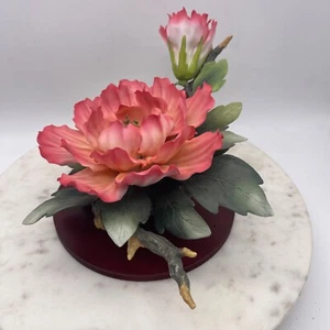 Figura de arte de porcelana fina pintada a mano doble rosa peonía de Andreas by Sadek - Imagen 1 de 13