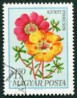 Hungary 1968 1Fo50 Sg2402 Used Ng Garden Flowers Purslane A1