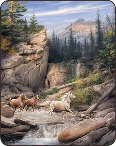 CANYON RUN HORSE HORSES MARE FULL / QUEEN SIZE SOFT MEDIUM WEIGHT BED BLANKET - Picture 1 of 1