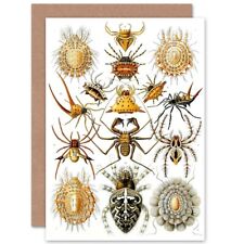 Nature Ernst Haeckel Spider Arachnid Biology Germany Blank Greeting Card