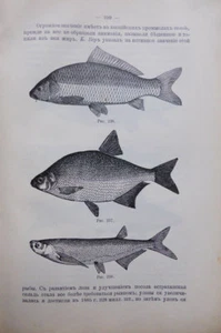 Russian book. Manual Merchandizing. Moscow. 1913. Part II ... - Picture 1 of 12