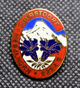Nebelhorn Mountain in Oberstdorf Germany 2224m Ski Pin - Picture 1 of 3