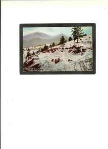 COLORADO VINTAGE "Drove of Elk, Pikes Peak" 9-15-1921 to Lansing, MI. - Picture 1 of 2