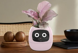 Smart Plant Pot with Advanced Tech and Stunning Design - pink Color (Original) - Picture 1 of 17