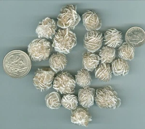 32 grams Natural Selenite Crystals Desert Rose Rough Petite Desert Rose pieces - Picture 1 of 1