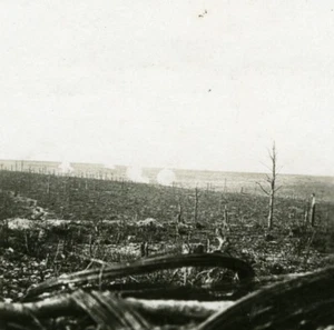 France WWI Verdun Battle Bois des Caurières Bombing old SIP Photo 1917 - Picture 1 of 3