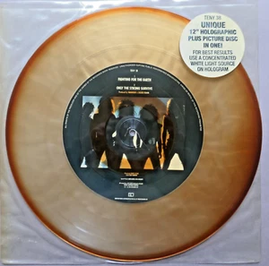Warrior – Fighting For The Earth 10 Records TENY 38 Holographic Picture Disc EX+ - Bild 1 von 8