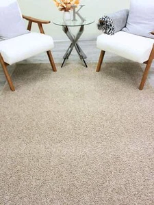 Koeckritz Soft Frieze Cream Area Rug for Living Rooms, Bedrooms, or Any Room - Picture 1 of 14