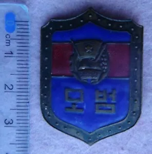 Alte Original Anstecknadel eines Ehrenmitglieds der Asiatischen Jugendorganisation - Bild 1 von 3