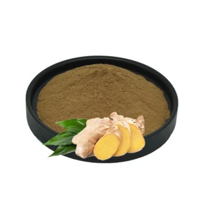 100g~500g Natural Ginger Extract 30:1 Powder - Picture 1 of 1