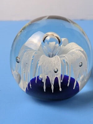 Magnum White Ghost Flower with Controlled Bubbles Cobalt Glass Paperweight mABG - Image 1 of 3