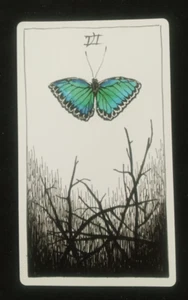 The Wild Unknown Tarot Card 6 Of Wands 4.75" X 2.75" - Picture 1 of 2