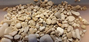 SAND - KIES - BRACER KÜSTE - BOL - INSEL BRAC' - KROATIEN - KIES - Bild 1 von 7