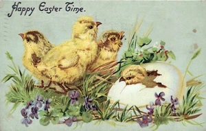 Tuck No 112 Chick Hatching From Egg In Spring Grass Easter Postcard - Picture 1 of 2