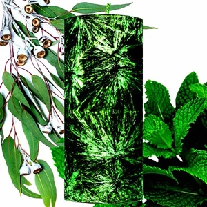Eucalyptus & Spearmint Scented Pillar Candle Choose Colour/Size Hand Crafted - Picture 1 of 26
