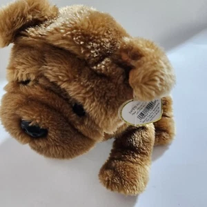TY Classic Collection Retired Plush SHANTOU the Sharpei Dog Stuffed Animal Toy - Picture 1 of 7