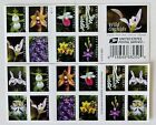  100pcs Forever Wild Orchids USA -(5 Sheet Of 20) For Sale