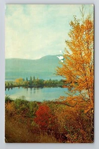Braccio di salmone BC-British Columbia, autunno sul piccolo lago, cartolina d'epoca - Foto 1 di 2