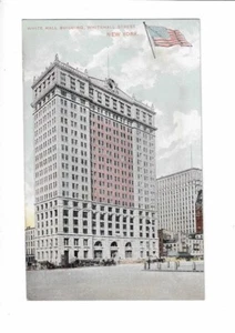 Postcard Whitehall Building Whitehall Street New York City Historical Architectu - Picture 1 of 2