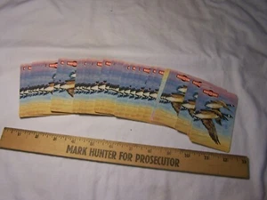 Tarjetas de juego vintage con pilas RAY-O-VAC GANSOS CANADIENSES - Imagen 1 de 3