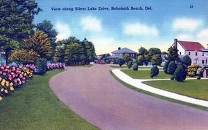 Cartolina di lino Rehoboth Beach Delaware vista lungo Silver Lake Drive - Foto 1 di 2