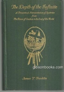 Depth of the Infinite Theoretical Interpretation James Franklin 1935 1st edition - Picture 1 of 1