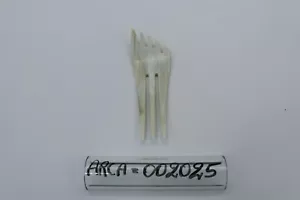 Forcina a Ventaglio per Capelli in Corno - Cod.002025 - Arca - Imagen 1 de 2