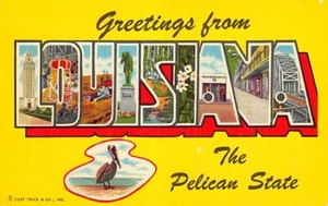 Postal LA: Saludos desde Louisiana, The Pelican State, años 50, cartas grandes - Imagen 1 de 2