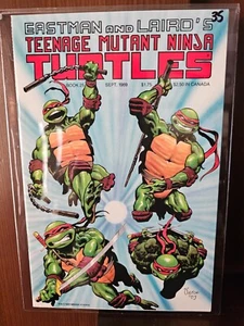 Teenage Mutant Ninja Turtles #25 (Mirage Studios September 1989) - Picture 1 of 2