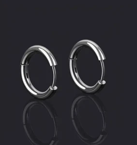Titanium  Hoop Earrings Cartilage Clicker Lip Nose  Earrings - Picture 1 of 8