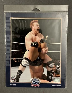 SHEAMUS 8x10 UNSIGNED PHOTO FILE LICENSED PHOTOFILE WWE WWF WRESTLING RARE - Picture 1 of 1