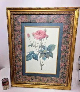 Arte enmarcado botánico Pierre Joseph Redouté Rosa Gallica Granatus doble mate - Imagen 1 de 12