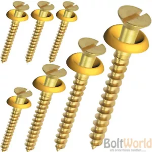 SOLID BRASS SLOTTED FLAT HEAD COUNTERSUNK WOOD SCREWS WOODSCREWS + CUP WASHERS - Picture 1 of 2