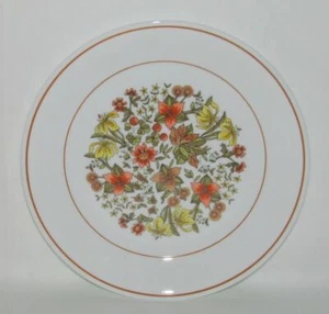 Corning Ware "Corelle" INDIAN SUMMER Salad Plate - Picture 1 of 1