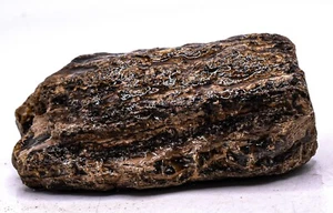 Espécimen mineral cristal fósil natural áspero ámbar negro naranja 325 quilates Indonesia - Imagen 1 de 6