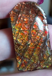 Großer Drachenschuppen Ammolit mit Top Farben  Farbwechsler!       (C42) - Picture 1 of 5