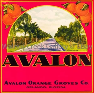 Florida Crate Label Fine Art Print, Groves, approx 10.8" x 10.8" 13227 - Picture 1 of 1