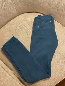 Hudson Girls Skinny Blue Pants 14 - Picture 1 of 4