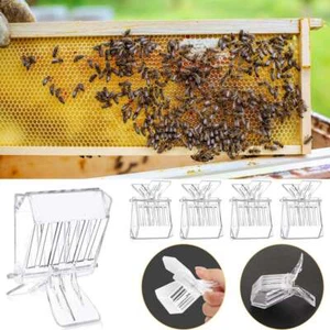 5PCS/Set Clear Queen Bee Catcher Clip Cage Catching Beekeeping Equipment Plastic - Picture 1 of 10