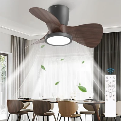 24'' Ceiling Fans with Lights and Remote, DC Motor Large Air Volume Ceiling F... - Image 1 of 4