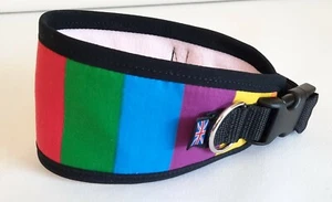 GREYHOUND / LURCHER. COLLAR PERRO ORGULLO FORRADO POLAR AJUSTABLE 13" - 17" ## - Imagen 1 de 3