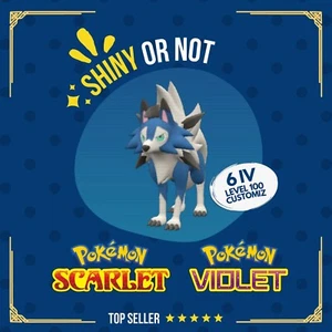 Lycanroc Dusk Shiny or Non ✨ 6 IV Competitive Custom Pokémon Scarlet Violet - Picture 1 of 5