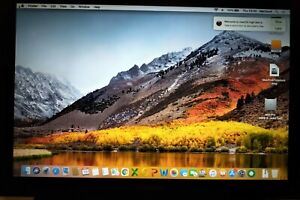 Mac OS High Sierra Pre Installed HDD (Works On Any Macbook Silver 2008-2012)