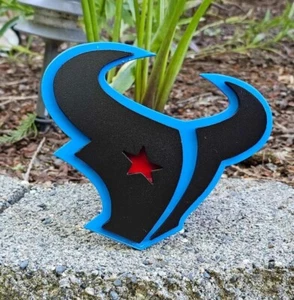 Houston Texans Custom Hitch Cover - Picture 1 of 6